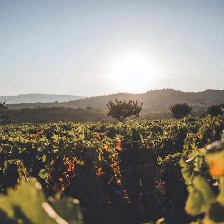 Casa Do Cruzeiro Apartament Armamar