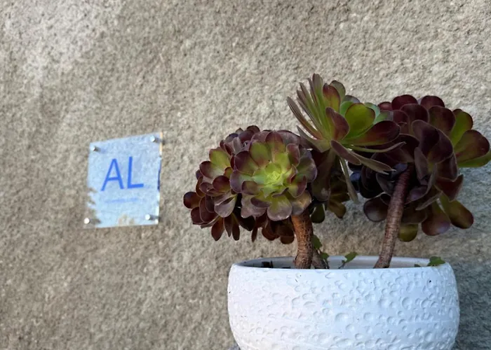 Casa Do Cruzeiro * Armamar