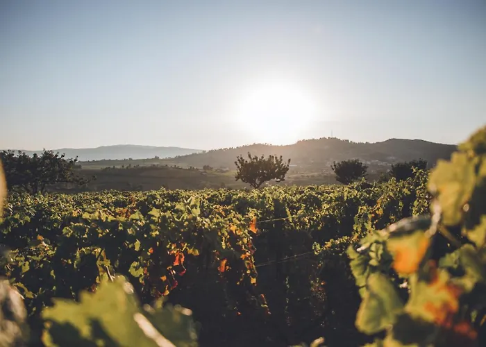 Casa Do Cruzeiro Daire Armamar